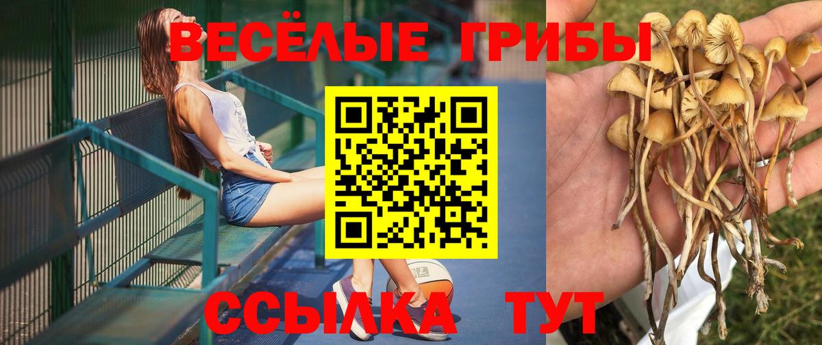 Галлюциногенные грибы GOLDEN TEACHER  Вход с VPN  закладка  Чехов 